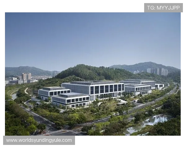 云顶集团中国运营的最新动态与行业影响力分析