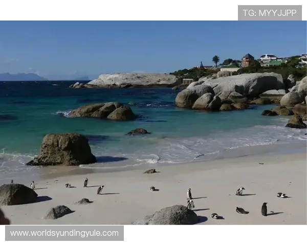 南非最大的赌场安全措施：保障游客安全，确保愉快娱乐体验