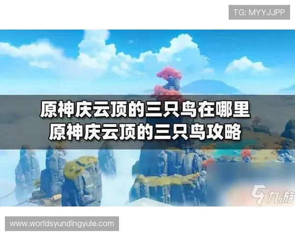 云顶国际平台网址大全：帮助新手用户轻松找到云顶国际平台的正规入口及使用技巧