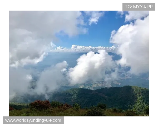 马来西亚云顶高原的天气与最佳旅游季节分析帮助你合理安排出行时间