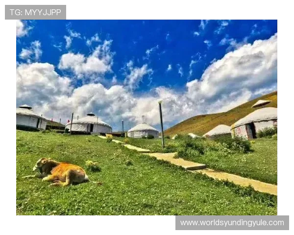 云顶山庄在哪最全地图位置解析及周边环境介绍让你轻松找到目的地 云顶山庄在哪最全地图位置解析及周边环境介绍让你轻松找到目的地